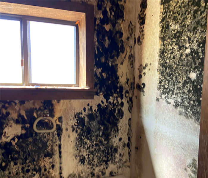 Mold removal in Southport, Connecticut.