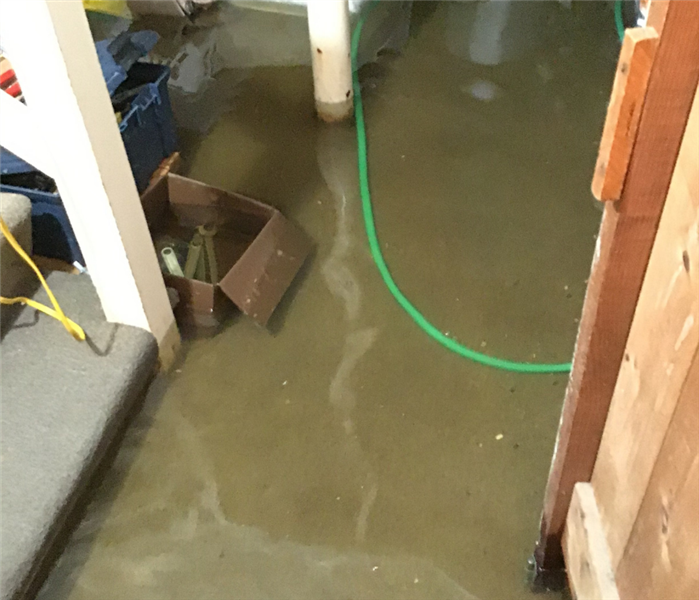 Flooded basement cleanup near me in Greens Farms, Connecticut.