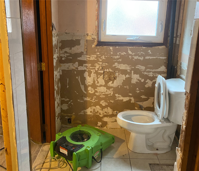 Basement Sewage Cleanup Near Me in Southport, CT