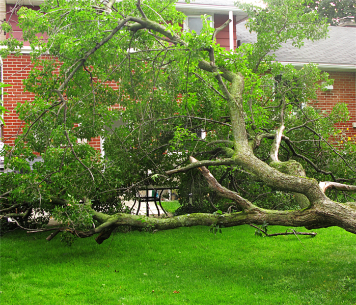 Storm damage in Fairfield, CT.